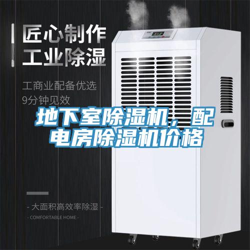 地下室91香蕉视频下载网站，配电房91香蕉视频下载网站价格