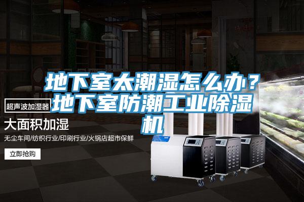 地下室太潮湿怎么办？地下室防潮工业91香蕉视频下载网站