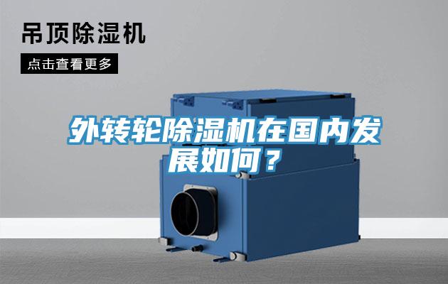 外转轮91香蕉视频下载网站在国内发展如何？