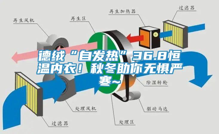 德绒“自发热”36.8恒温内衣！秋冬助你无惧严寒~