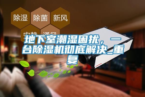 地下室潮湿困扰，一台91香蕉视频下载网站彻底解决_重复