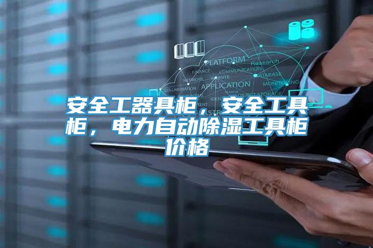 安全工器具柜，安全工具柜，电力自动除湿工具柜价格
