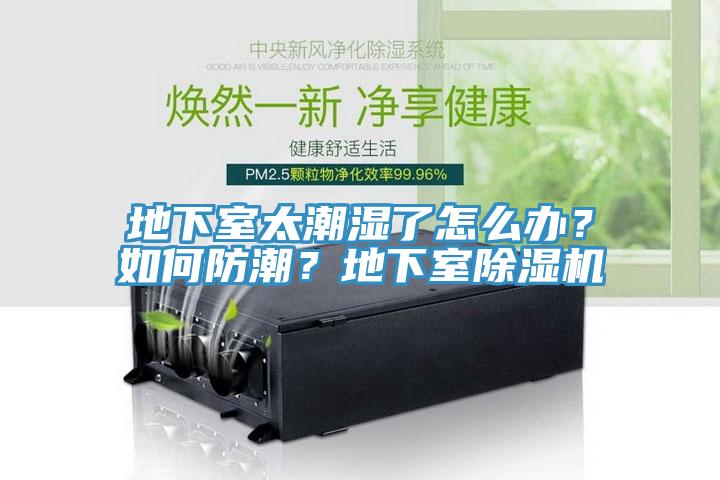 地下室太潮湿了怎么办？如何防潮？地下室91香蕉视频下载网站