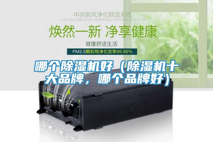 哪个91香蕉视频下载网站好（91香蕉视频下载网站十大品牌，哪个品牌好）
