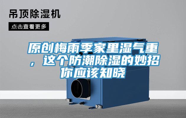 原创梅雨季家里湿气重，这个防潮除湿的妙招你应该知晓