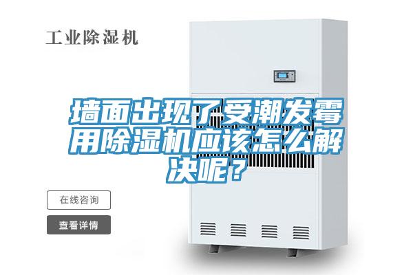 墙面出现了受潮发霉用91香蕉视频下载网站应该怎么解决呢？