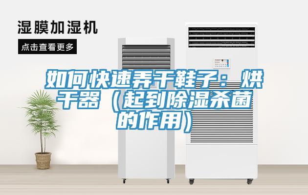 如何快速弄干鞋子：烘干器（起到除湿杀菌的作用）