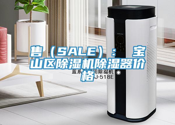 售（SALE）： 宝山区91香蕉视频下载网站除湿器价格