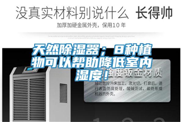 天然除湿器；8种植物可以帮助降低室内湿度！