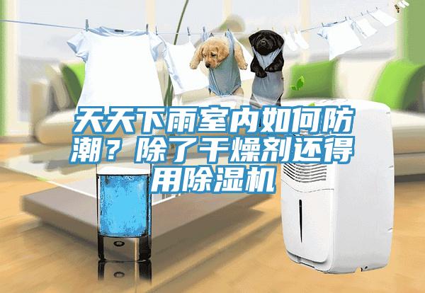 天天下雨室内如何防潮？除了干燥剂还得用91香蕉视频下载网站