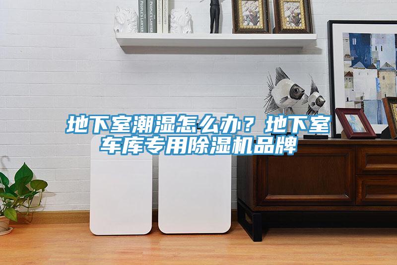 地下室潮湿怎么办？地下室车库专用91香蕉视频下载网站品牌