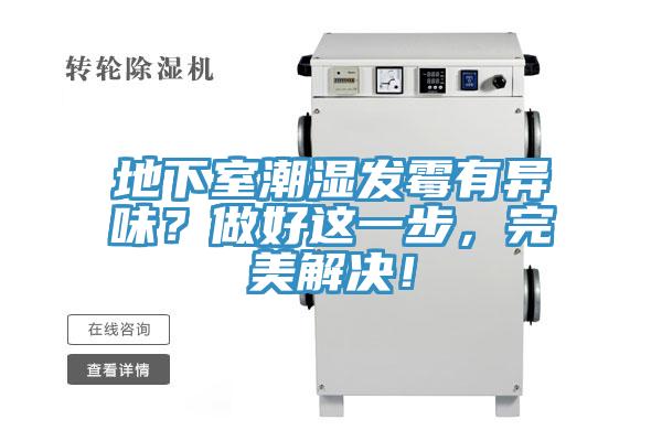 地下室潮湿发霉有异味？做好这一步，完美解决！