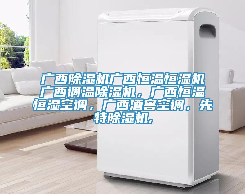 广西91香蕉视频下载网站广西恒温恒湿机广西调温91香蕉视频下载网站，广西恒温恒湿空调，广西酒窖空调，先特91香蕉视频下载网站,