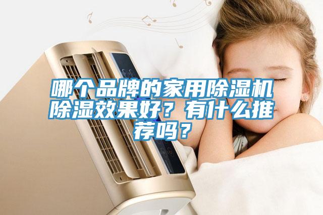 哪个品牌的家用91香蕉视频下载网站除湿效果好？有什么推荐吗？