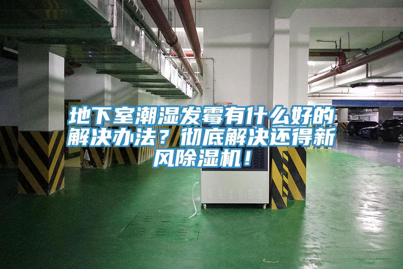 地下室潮湿发霉有什么好的解决办法？彻底解决还得新风91香蕉视频下载网站！