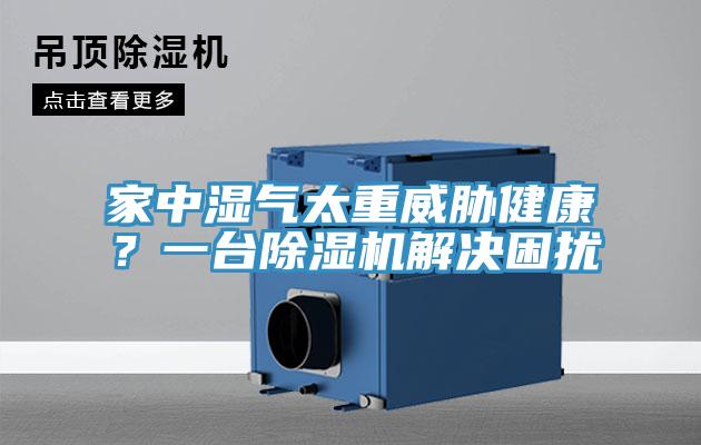 家中湿气太重威胁健康？一台91香蕉视频下载网站解决困扰
