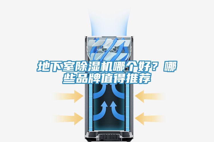 地下室91香蕉视频下载网站哪个好？哪些品牌值得推荐