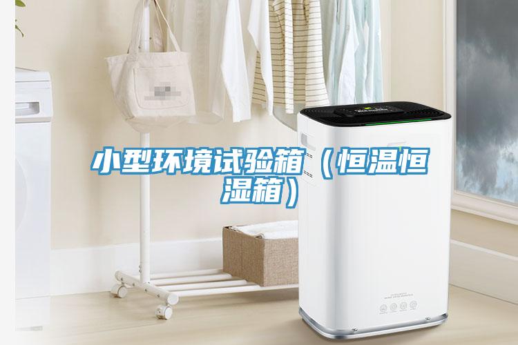小型环境试验箱（恒温恒湿箱）