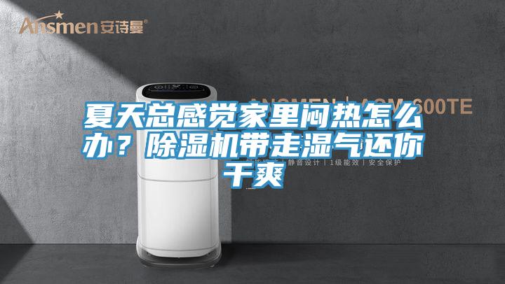 夏天总感觉家里闷热怎么办？91香蕉视频下载网站带走湿气还你干爽