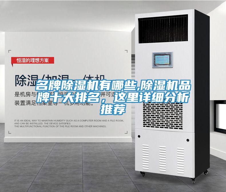 名牌91香蕉视频下载网站有哪些,91香蕉视频下载网站品牌十大排名，这里详细分析推荐