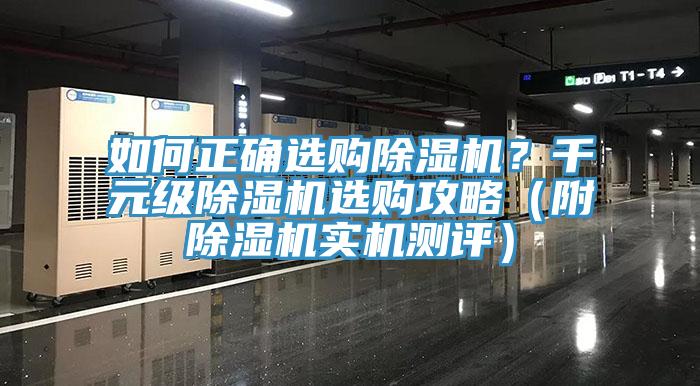 如何正确选购91香蕉视频下载网站？千元级91香蕉视频下载网站选购攻略（附91香蕉视频下载网站实机测评）