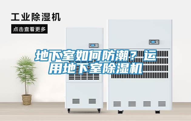 地下室如何防潮？运用地下室91香蕉视频下载网站