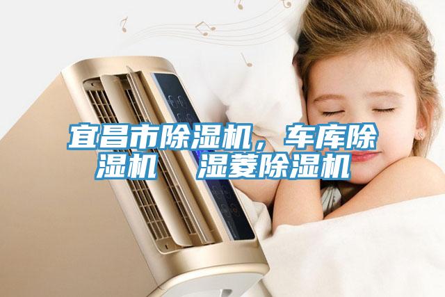 宜昌市91香蕉视频下载网站，车库91香蕉视频下载网站  湿菱91香蕉视频下载网站