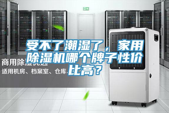 受不了潮湿了，家用91香蕉视频下载网站哪个牌子性价比高？
