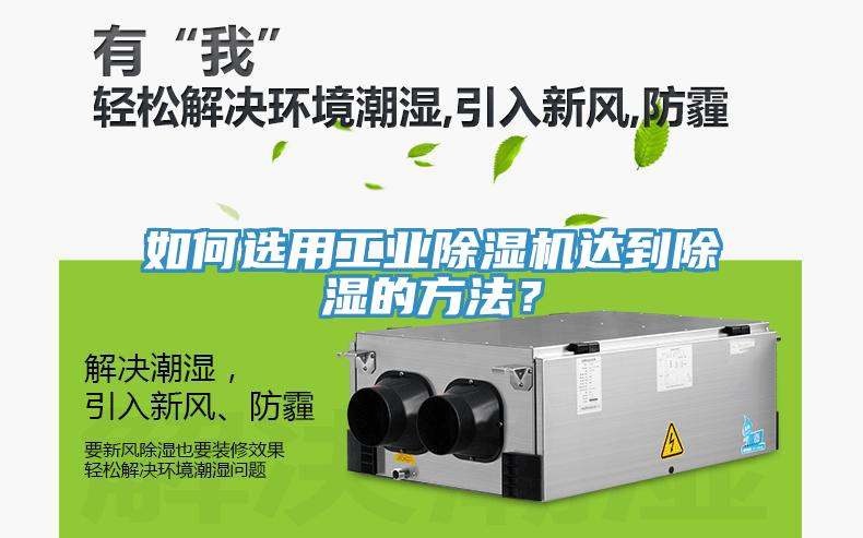 如何选用工业91香蕉视频下载网站达到除湿的方法？