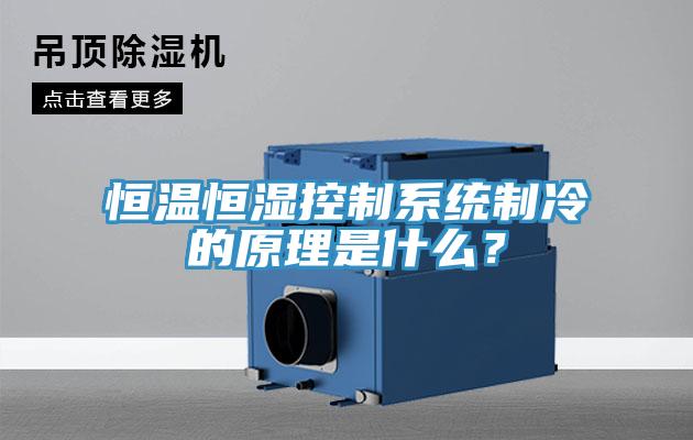 恒温恒湿控制系统制冷的原理是什么？