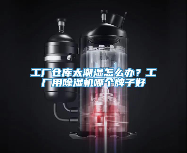 工厂仓库太潮湿怎么办？工厂用91香蕉视频下载网站哪个牌子好