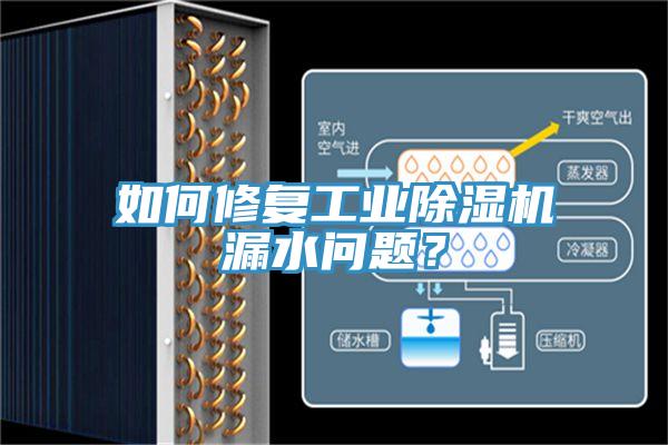 如何修复工业91香蕉视频下载网站漏水问题？