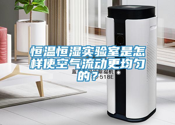 恒温恒湿实验室是怎样使空气流动更均匀的？