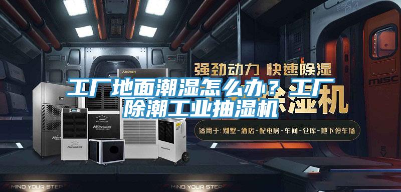 工厂地面潮湿怎么办？工厂除潮工业抽湿机