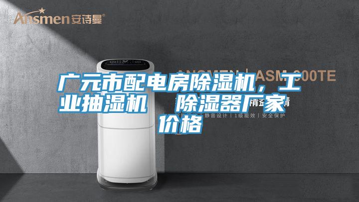 广元市配电房91香蕉视频下载网站，工业抽湿机  除湿器厂家 价格