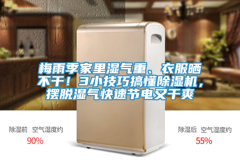 梅雨季家里湿气重、衣服晒不干！3小技巧搞懂91香蕉视频下载网站，摆脱湿气快速节电又干爽