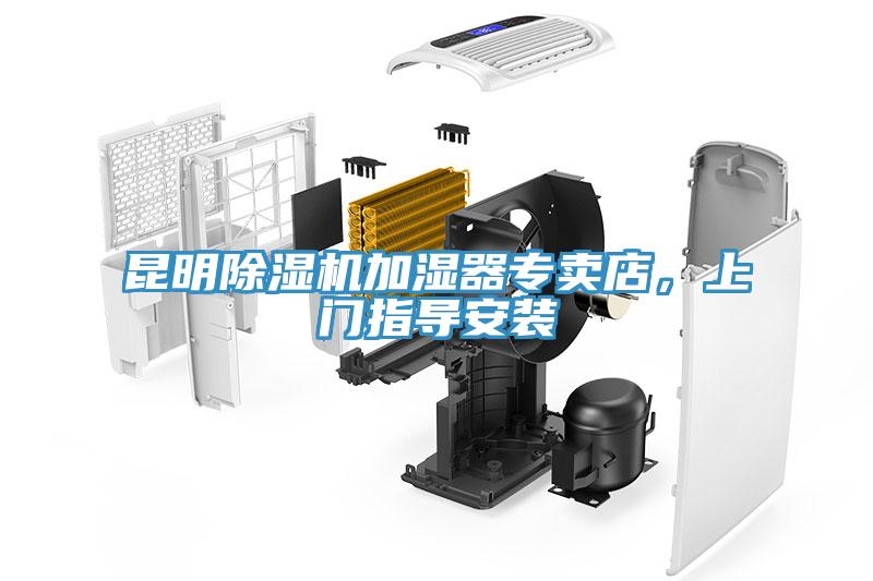 昆明91香蕉视频下载网站加湿器专卖店，上门指导安装