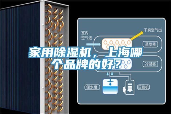 家用91香蕉视频下载网站，上海哪个品牌的好？