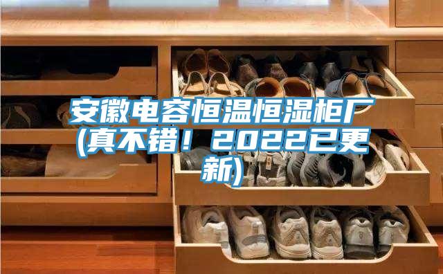 安徽电容恒温恒湿柜厂(真不错！2022已更新)