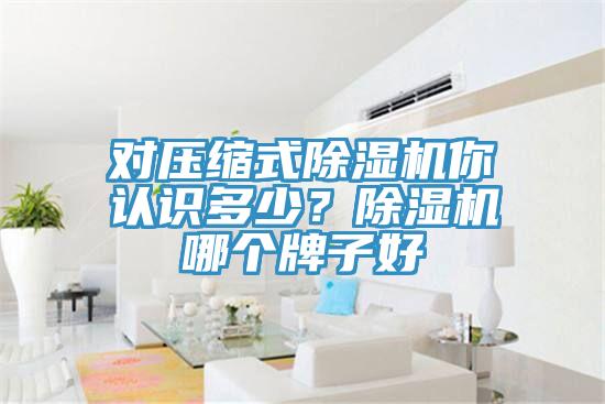 对压缩式91香蕉视频下载网站你认识多少？91香蕉视频下载网站哪个牌子好