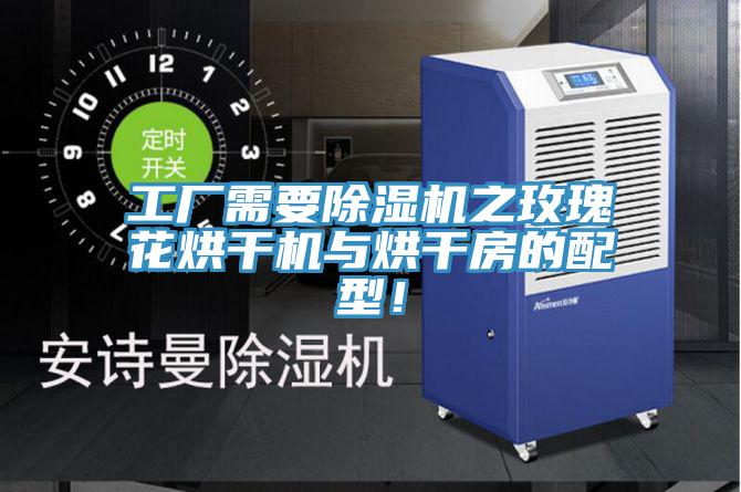 工厂需要91香蕉视频下载网站之玫瑰花烘干机与烘干房的配型！