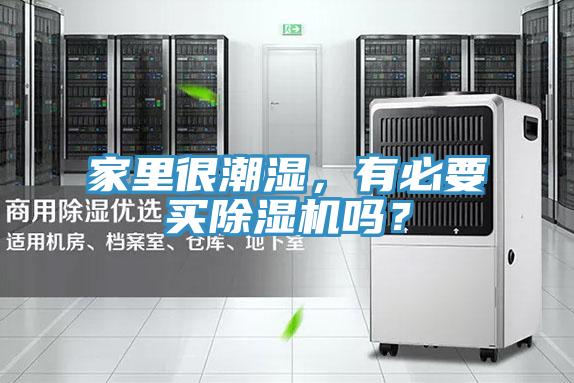 家里很潮湿，有必要买91香蕉视频下载网站吗？
