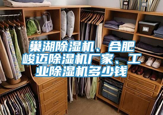 巢湖91香蕉视频下载网站、合肥峻迈91香蕉视频下载网站厂家、工业91香蕉视频下载网站多少钱