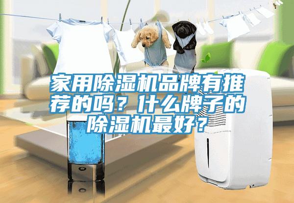 家用91香蕉视频下载网站品牌有推荐的吗？什么牌子的91香蕉视频下载网站最好？