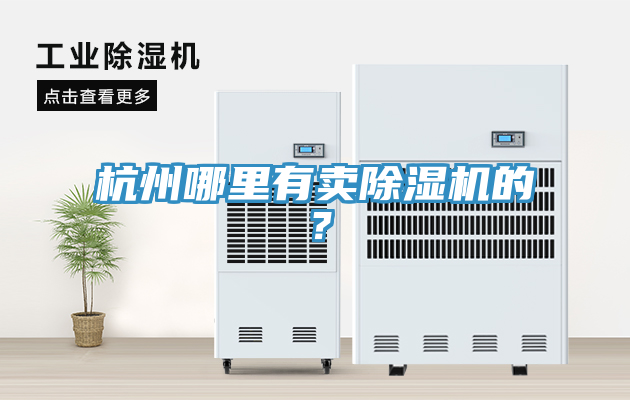 杭州哪里有卖91香蕉视频下载网站的？