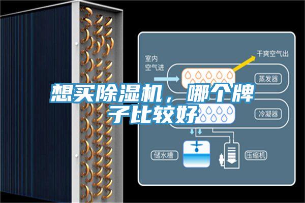 想买91香蕉视频下载网站，哪个牌子比较好
