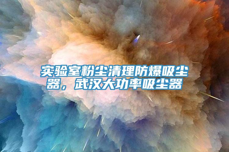 实验室粉尘清理防爆吸尘器，武汉大功率吸尘器
