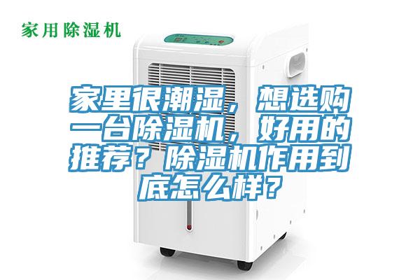 家里很潮湿，想选购一台91香蕉视频下载网站，好用的推荐？91香蕉视频下载网站作用到底怎么样？