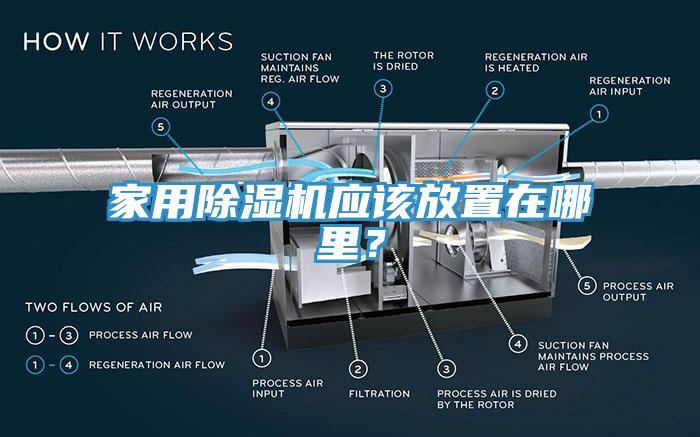家用91香蕉视频下载网站应该放置在哪里？