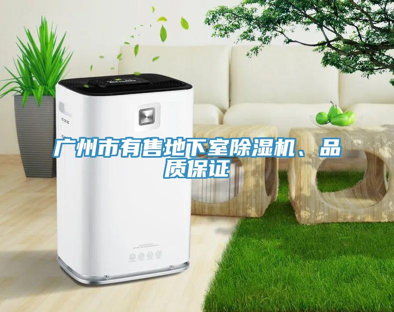 广州市有售地下室91香蕉视频下载网站、品质保证